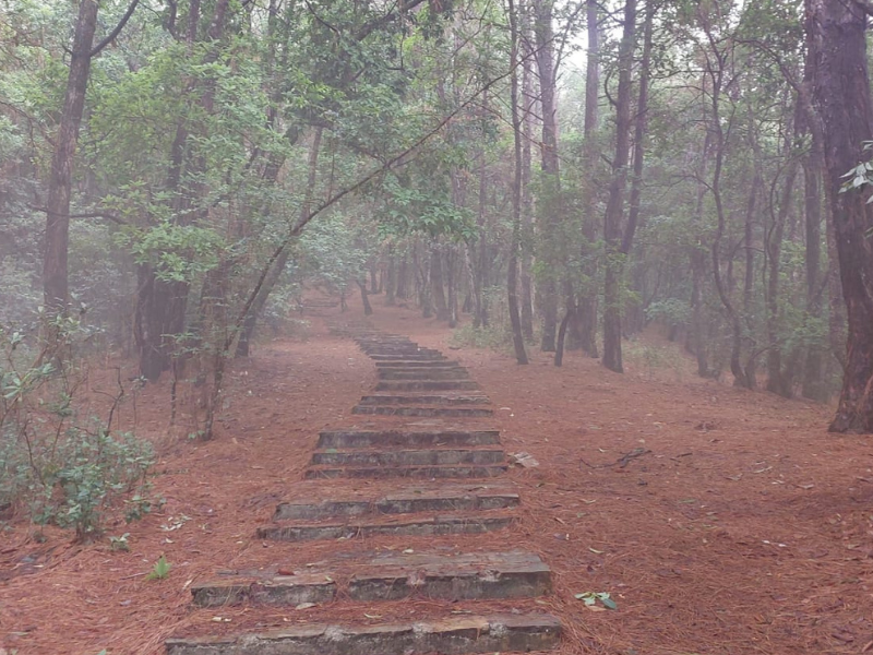 The Hike to Jamacho Gumba