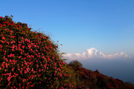 Ghorepani Poon Hill