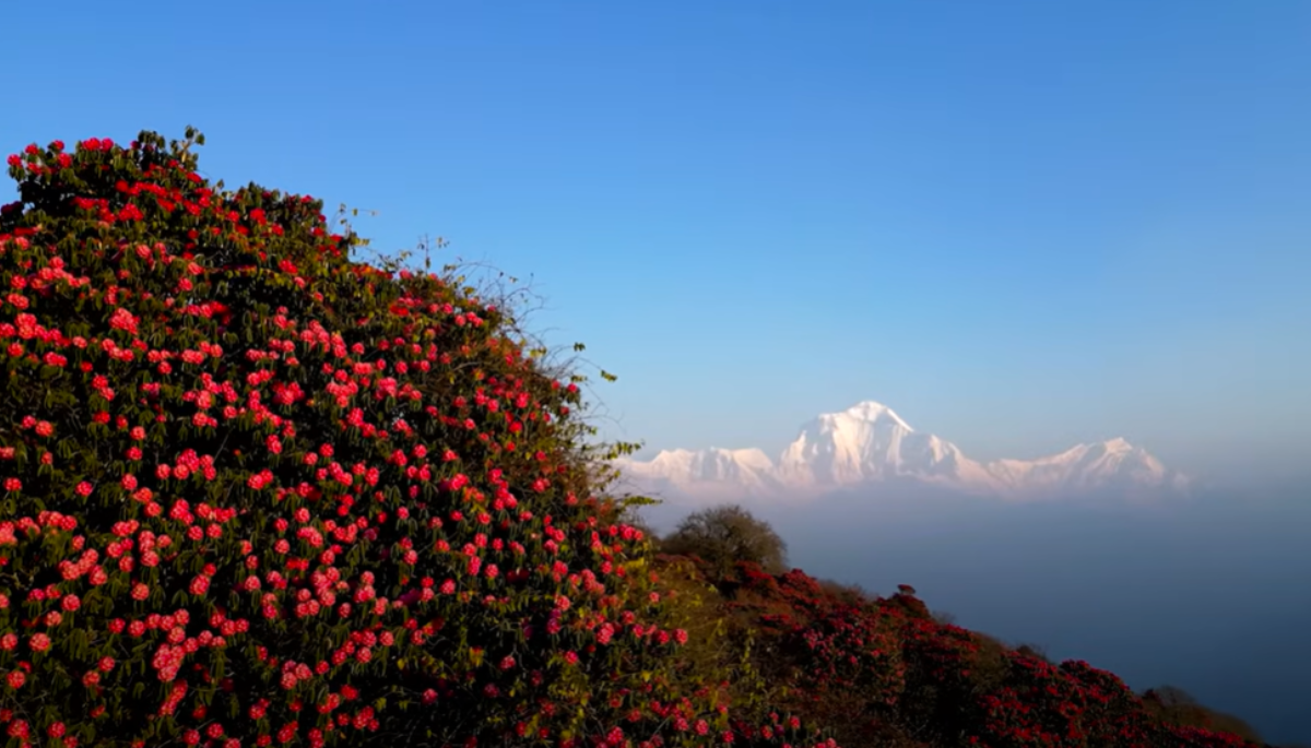 Ghorepani Poon Hill