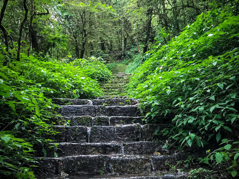 Hiking Trail Kathmandu