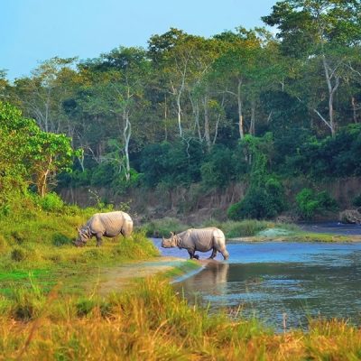 Sauraha