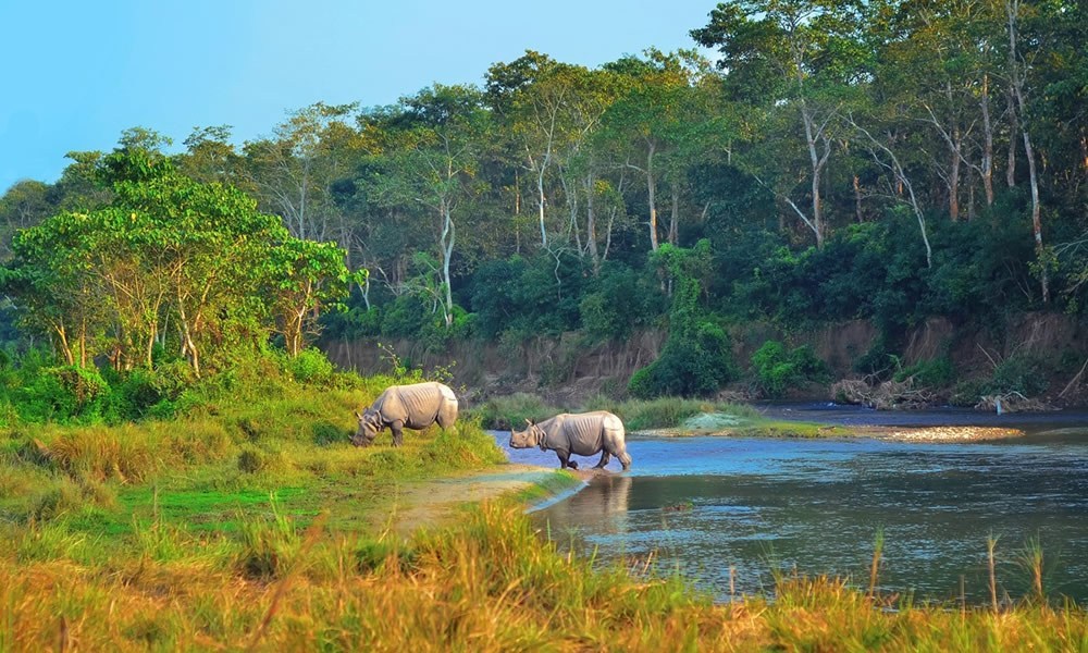 Sauraha Chitwan