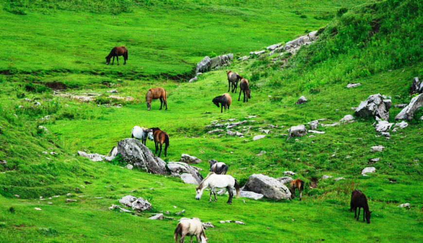 Khaptad National Park