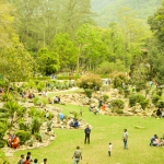 Godawari Botanical Garden