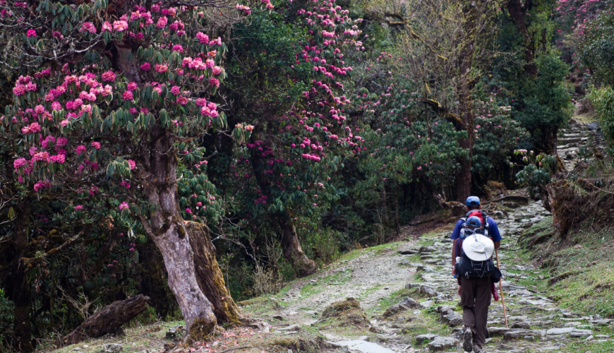 Best Kid-Friendly Family Hikes in Nepal