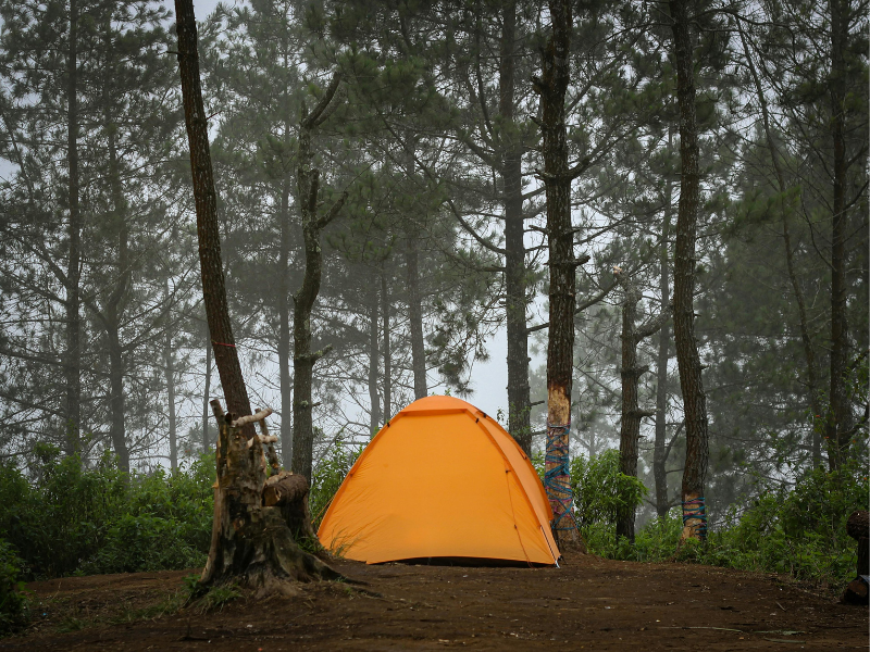 Camping in the woods