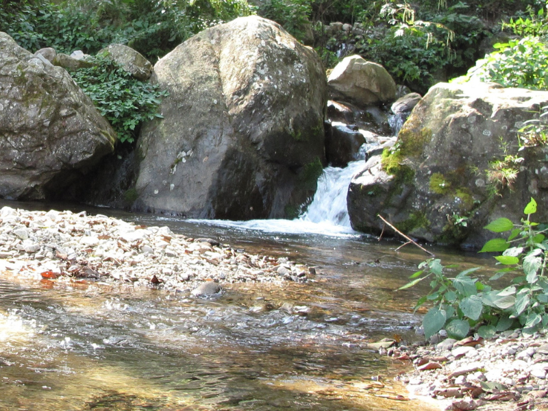 Langtang Region Trek Langtang Region Trek