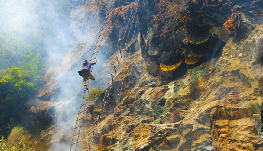 The Last Honey Hunter Trail: A Hidden Adventure in Nepal