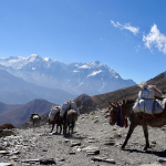 View of Dolpo Trek