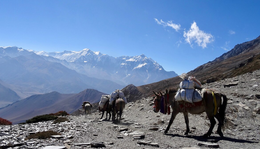View of Dolpo Trek