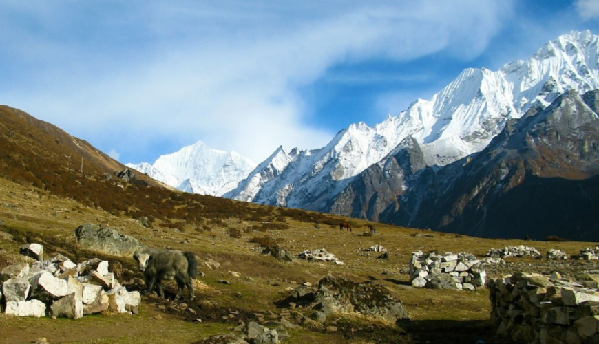 View of Langtang valley