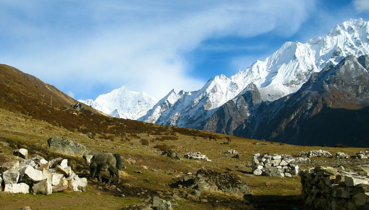 View of Langtang valley